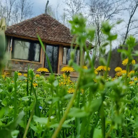 Jantar- Rusticna Kuca 度假居 Crnca