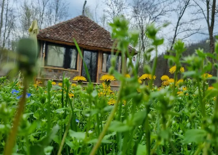 Jantar- Rusticna Kuca 度假居 Crnca